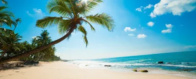 Фото Карибы пляж - полезная информация о пляжах