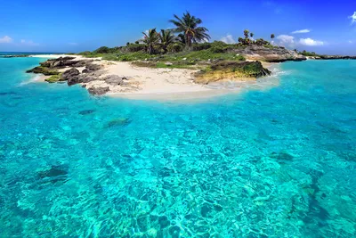 Фото Карибы пляж - фотографии пляжей с видом на океан