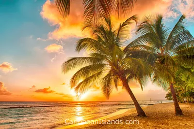 Фото Карибы пляж - пляжи Карибов с прозрачной водой на фото