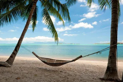 Карибы пляж - рай для отдыха