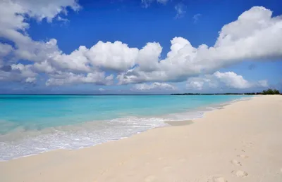 Откройте для себя великолепие Карибских пляжей на фотографиях