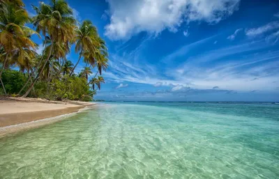 Фото Карибы пляж - Full HD фотографии