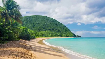 Отправьтесь в виртуальное путешествие по Карибским пляжам с фото