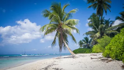 Откройте для себя уникальные Карибские пляжи через фотографии