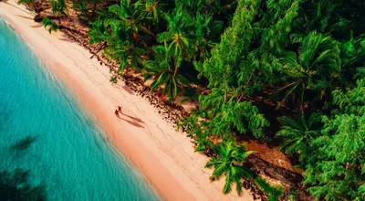 Фотографии Карибских пляжей, чтобы вас увлечь и расслабить