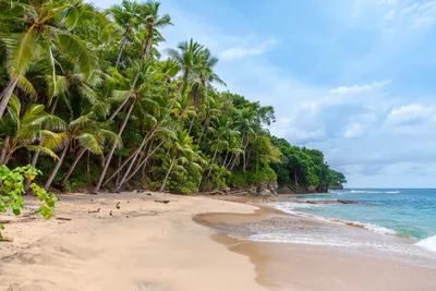 Фотографии Карибских пляжей, чтобы вас вдохновить на путешествие
