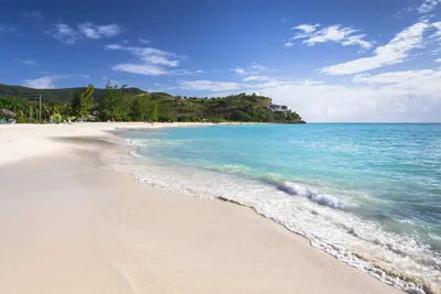 Отправьтесь в виртуальное путешествие по Карибским пляжам с помощью фото