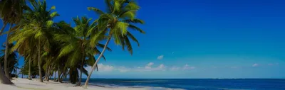 Прикоснитесь к природной красоте Карибских пляжей через фотографии