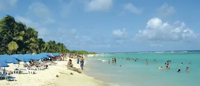 Откройте для себя магию Карибских пляжей на фотографиях