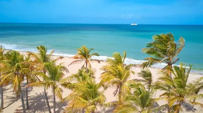 Фотографии пляжей Карибов 4K