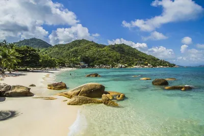 Фотографии пляжей Карибов для скачивания