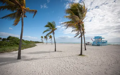 Карибы: бесплатные фото пляжей
