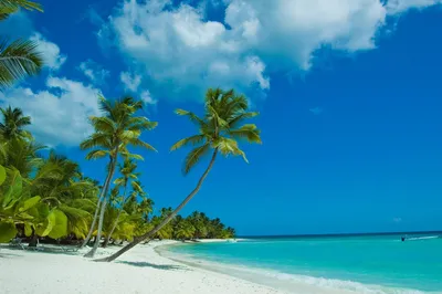 Карибы: красивые картинки пляжей