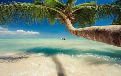 Фотографии пляжей Карибов в формате png
