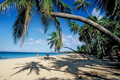 Фото Карибы: качественные изображения пляжей