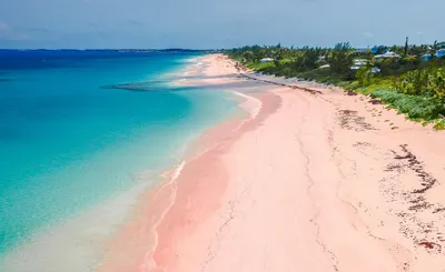 Фото Карибы пляж - скачать бесплатно в формате PNG
