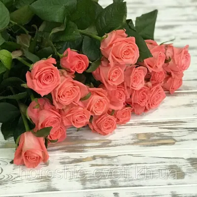 Карина роза в разных форматах для скачивания