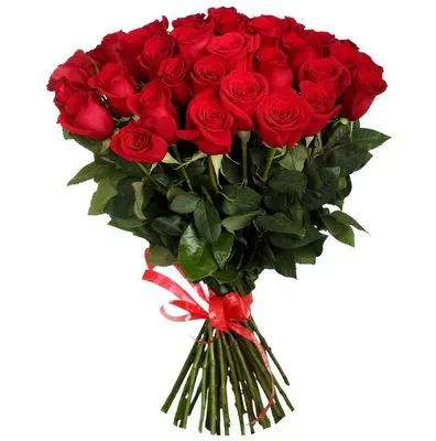 Притягательные карликовые розы: фото, которые вызывают восхищение