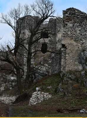 Качественная фотография Карол Нэш в черно-белом стиле