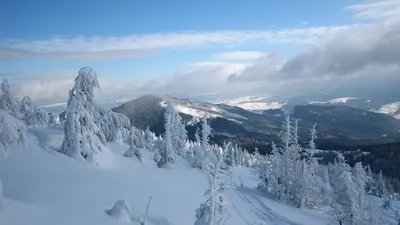 Фотографии Карпатских гор, отражающие красоту зимнего ландшафта