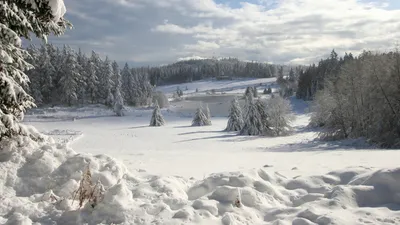 Впечатляющие снежные пейзажи Карпатских гор