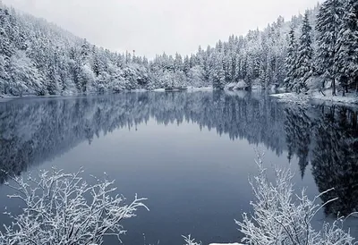 Потрясающая красота заснеженных Карпатских вершин на фото