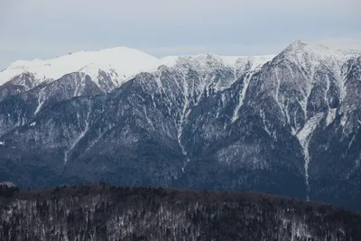 Зимние альпийские чудеса Карпатских гор на фото