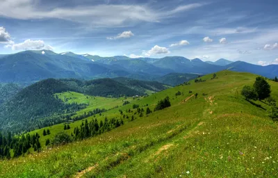 Фото пейзажей Карпатских гор: красота в каждой детали