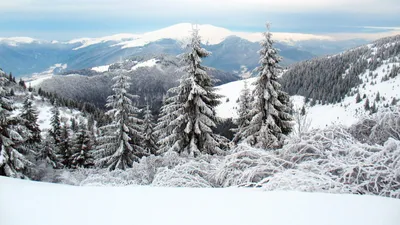 Зимний отдых в горах: Фотографии красоты природы