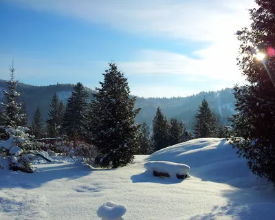 Зимние пейзажи Карпат: Фотографии для вдохновения