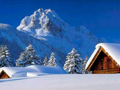 Фотографии снежных вершин Карпат: Зимний аромат природы