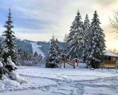 Зимний отдых в горах: Фотоальбом Карпат