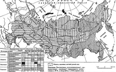 Реки в HD: очарование природы в высоком разрешении