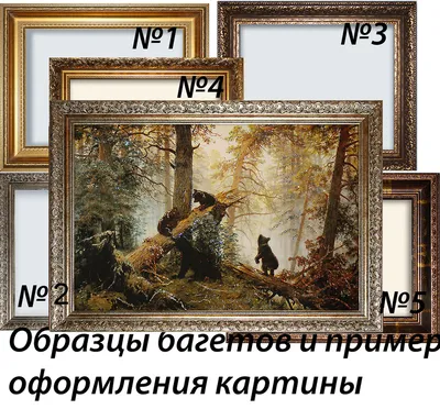 Обои на рабочий стол с утром в сосновом лесу: прикосновение к природе