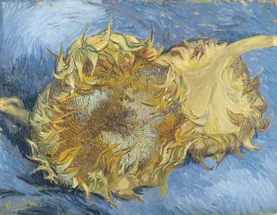 Картина Ван Гога Подсолнухи - вдохновение и великолепие в одном фото