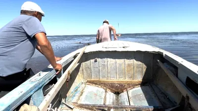 Утренний ритуал: фото, чтобы насладиться свежим началом дня.