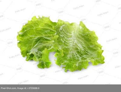 Картинка листьев салата - выберите формат: JPG, PNG, WebP