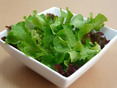 Листья салата: зеленый аромат