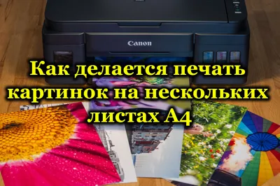 Изображения листьев в формате JPG в HD качестве