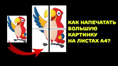 Картинки листьев для скачивания в формате PNG