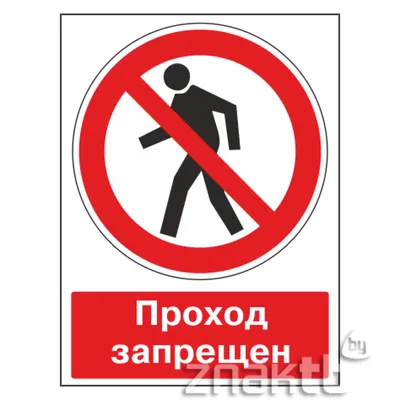 Фото без фона: скачать в формате JPG, PNG, WebP.