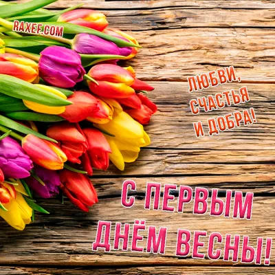 Фотографии весны: скачать в формате JPG, PNG, WebP