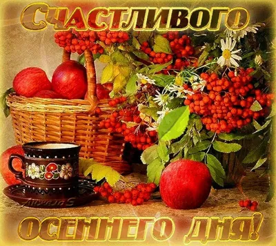 Новые фото чудесного осеннего дня