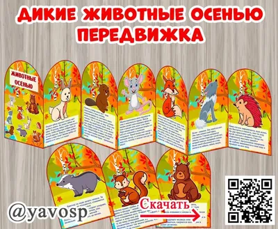 Весенние кадры диких животных: великолепие природы