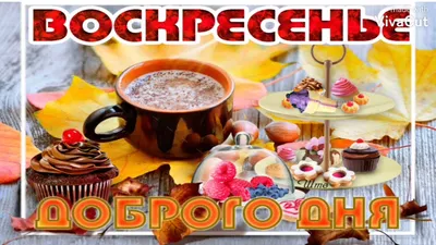 Картинки для друзей на утро: вдохновение и радость на каждом фото