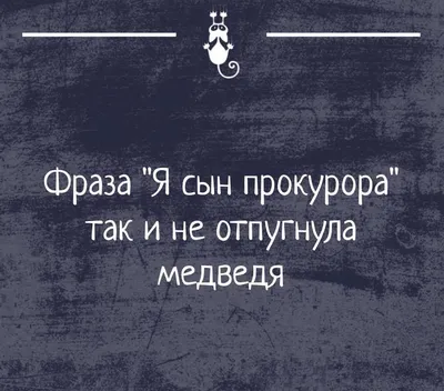 Смешные фото: 30 уникальных моментов для вашего настроения