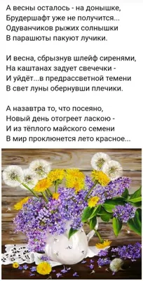 Весенние фотографии: природа пробуждается