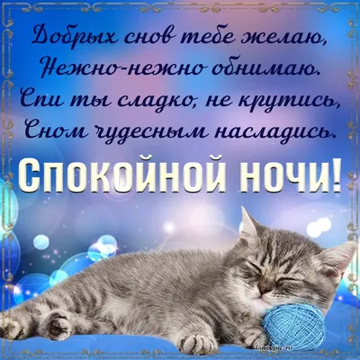 Картинки для WhatsApp: выбирайте формат скачивания (JPG, PNG, WebP)