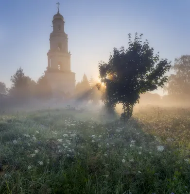 Фото дня: Искусство в HD качестве