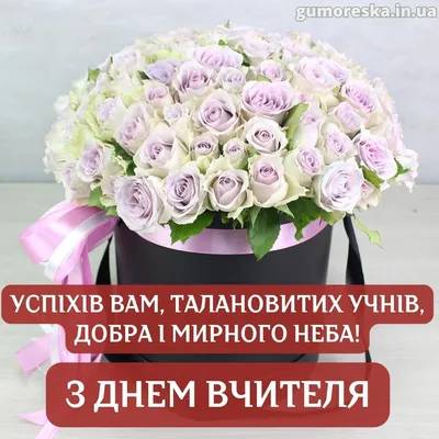 Удивительные фото к Дню учителя: впечатления гарантированы